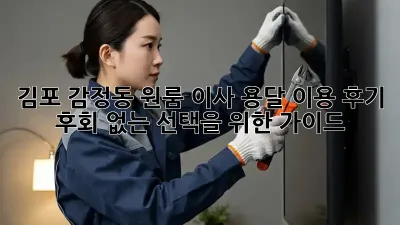김포 감정동 원룸 이사, 용달 이용 후기: 후회 없는 선택을 위한 가이드